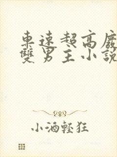 车速超高废文的双男主小说在线阅读