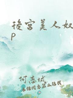 后宫美人奴(np