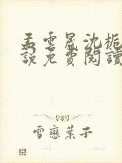 孟云晟沈栀意小说免费阅读最新章节