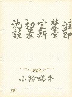 沈初宜裴淮聿小说最新章节免费阅读