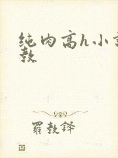 纯肉高h小说调教