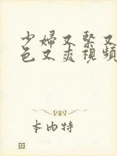 少妇又紧又大又色又爽视频