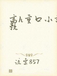 高h重口小说调教