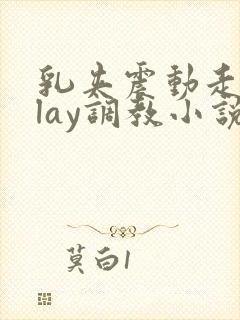 乳夹震动走绳play调教小说