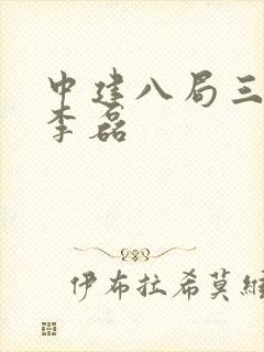 中建八局三公司李磊