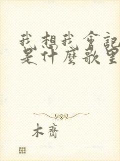 我想我会记得你是什么歌里的歌词