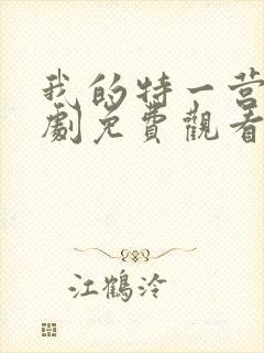 我的特一营电视剧免费观看全集