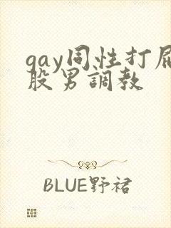 gay同性打屁股男调教