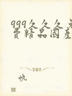 999久久久免费精品国产色夜