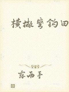 横撇弯钩田字格