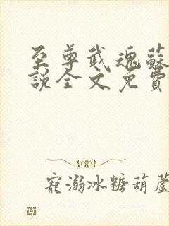 至尊武魂苏莫小说全文免费阅读