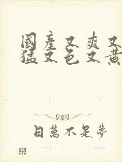 国产又爽又粗又猛又色又黄免费视频