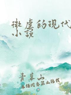 微虐的现代言情小说