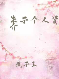 朱子个人资料简介