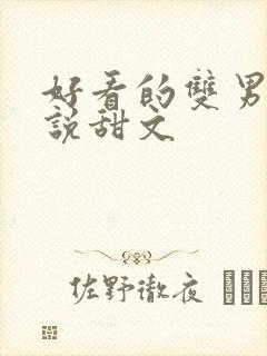 好看的双男主小说甜文