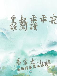 皇叔乖乖宠我小说阅读