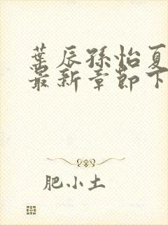 叶辰孙怡夏若雪最新章节下载