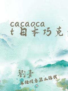 cacaocat 日本巧克力