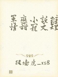 军恋小说推荐言情甜宠文短篇