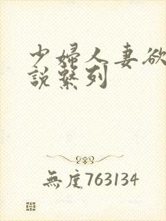 少妇人妻欲望小说系列