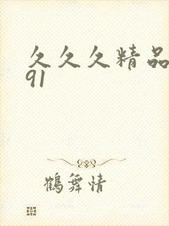 久久久精品国产91