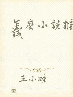 怎么小说推文赚钱