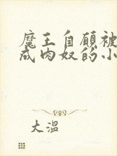 魔王自愿被调教成肉奴的小说