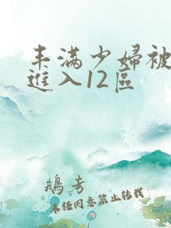 丰满少妇被无套进入12区