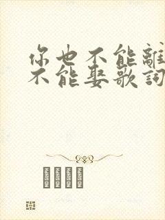 你也不能离我也不能娶歌词是什么歌