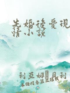 先婚后爱现代言情小说