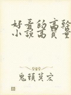 好看的高干言情小说高质量文笔好