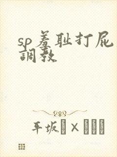 sp羞耻打屁股调教