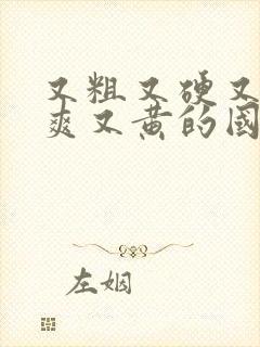 又粗又硬又长又爽又黄的国内视频