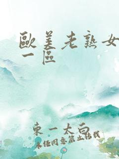 欧美老熟女视频一区