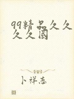 99精品久久久久久国