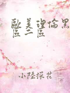 欧美理伦黑人一区二区