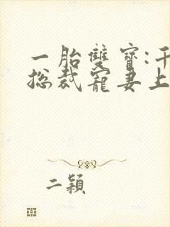 一胎双宝:千亿总裁宠妻上瘾