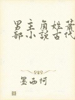 男主角姓萧的全部小说古代