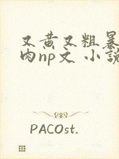 又黄又粗暴的纯肉np文 小说