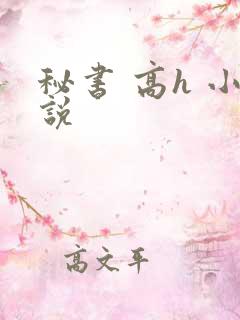 秘书 高h 小说