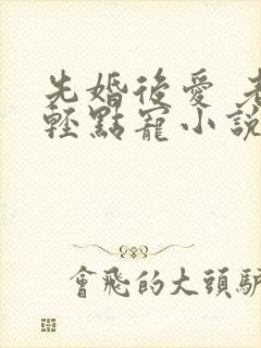 先婚后爱 老公轻点宠小说