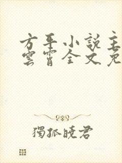 方平小说主角,云霄全文免费阅读最新章节