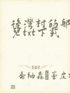 后湾村的那些事儿txt下载
