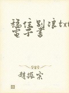 稳住别浪txt电子书