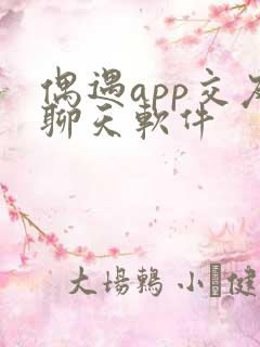 偶遇app交友聊天软件