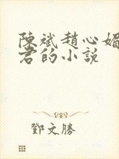 陈斌赵心媚高婉君的小说