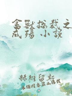 禽兽总裁之虐爱成殇 小说