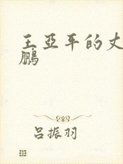 王亚平的丈夫赵鹏