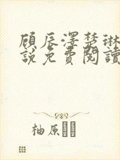 顾辰泽楚琳薇小说免费阅读最新章节