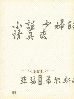 小说 少妇的激情真爽